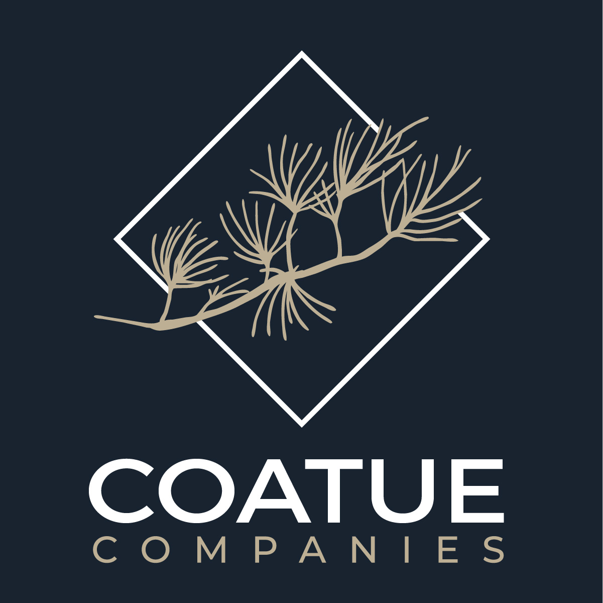 Coatue Companies